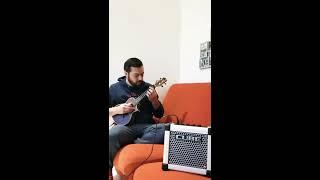 Killing in the name Rage against the machine Micro cube roland Ibanez UEW13MEE ukulele  #rocknrolla