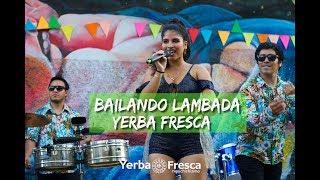 Yerba Fresca - Bailando Lambada (Video Oficial)