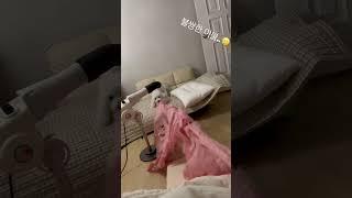 파괴왕 휴지#short