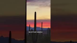 Tucson, Arizona – Desert Living on a Budget || #shorts #travelguide #travel #places #bestplaces