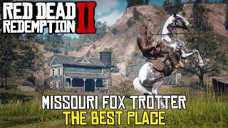 Missouri fox trotter the easiest and fastest way - RDR2