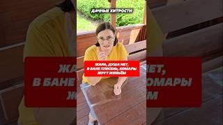 Эти решения вас спасут! 3 дачные хитрости! #лайфхаки #дача #совет #плесень #комары
