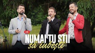 Christall Sound Trio - Numai Tu știi să iubești (wedding song) (LIVE)