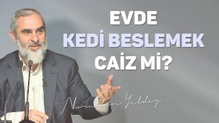 Evde kedi beslemek caiz mi? - Nureddin Yıldız