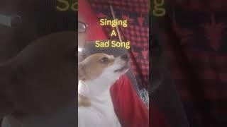  Sybil, The Boss Lady Singing a Sad Song