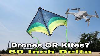 dji Air 2s Drone OR Kite Flying? 60" Delta Kite From Amazon (First flight)