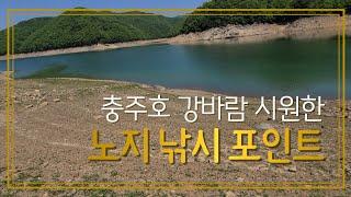 #충주호 #노지낚시 포인트