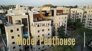 Video for a Model Penthouse By Penguin