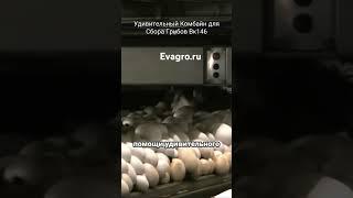 #обзор #сельхозтехника #оборудованиедлябизнеса #евагро