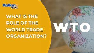 What is the role of the World Trade Organization (WTO) ?