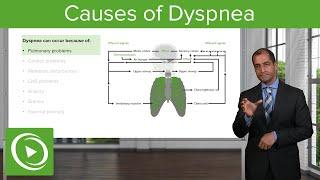 Causes of Dyspnea – Pulmonary Pathology | Lecturio