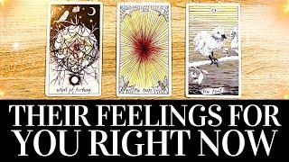 PICK A CARD Their TRUE FEELINGS For You RIGHT NOW!  They want you to know THIS!  Tarot Reading