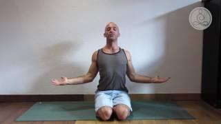 Nomad Yoga  Spinal Movements