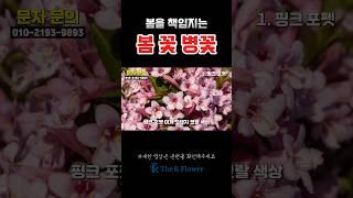 봄 꽃 병꽃을 더케이 야생화에서 20% 할인된 금액으로 만나보세요
