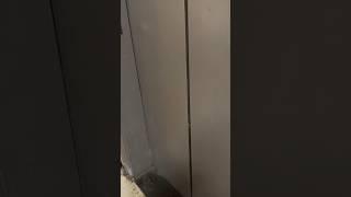 My Channel’s Official Elevators S2 E7: Did they fix the door?