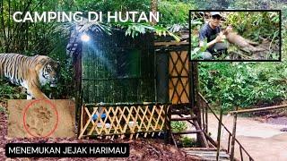 Camping di hutan hujan deras//menemukan jejak harimau memangs4 b4b1