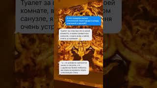 ЧЕСТНЫЙ ОТЗЫВ клиента спустя полгода после окончания ремонта |Дизайн интерьера и ремонт, Карапетян