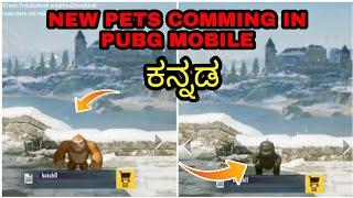 Pubg mobile new pets comming soon | pubg mobile new update leaks | pubg new pets