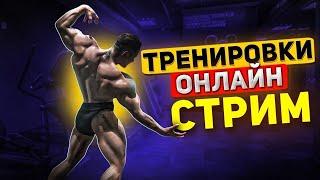 СПИНА  86 | ВСЕ О ПОДГОТОВКЕ !ТЕЛЕГА | ROAD TO OLYMPIA 2025