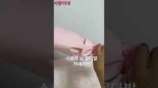 카네이션 사랑이네
