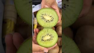 Kiwi fruit harvesting from farmers and cutting skills so fresh #farming #fruit #kiwi #2024 #harvest