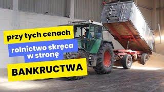 Przy tych cenach zbóż rolnictwo skręca w stronę bankructwa. Żniwa 2024