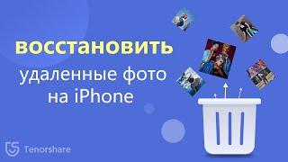 Как восстановить удаленные фото на айфоне?[3 лучших способа]