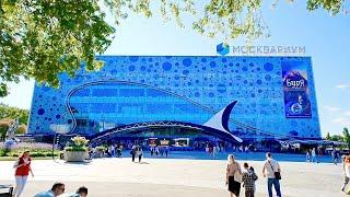 Экскурсия по Московскому океанариуму