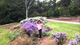 Lockerly Arboretum - Milledgeville