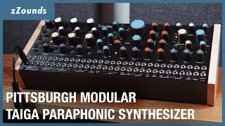 Pittsburgh Modular Taiga Paraphonic Analog Synthesizer | zZounds