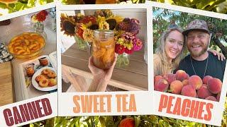 Canning Sweat Tea Peaches