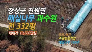 [Any의114부동산] #174 장성군 진원면 매실나무 과수원 332평 매매.자연과 어울리는 주말농장으로 적합합니다.