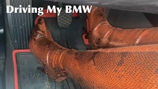 Driving My BMW