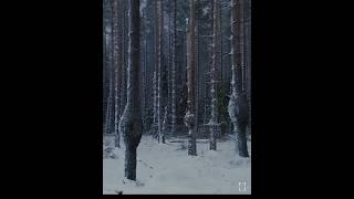 внутри дерева нашли девочку #ЛЕШИЙ ( 2026)  #shorts #фильм #кино #shortsvideo  #топ #shorts