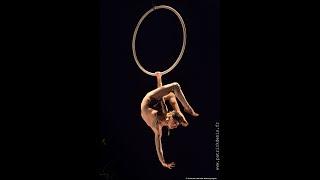 Aerial Hoop Workshop with Jennifer Cohen