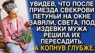 ПОСЛЕ ПРИЕЗДА СВЕКРОВИ ПЕТУНЬИ НА ОКНЕ ЗАВЯЛИ, СВЕТА, ПОД ИЗДЕВКИ МУЖА РЕШИЛА ИХ ПЕРЕСАДИТЬ, НО...