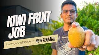 New Zealand Student Life | Part-time Job | BM Maniya | New Zealand Vlogs