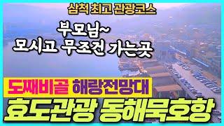 동해시 묵호항 리뷰 - 도째비골 해랑전망대까지 동해여행 추천코스