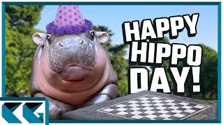 Only Click This If You're A Chess Hippopotamus