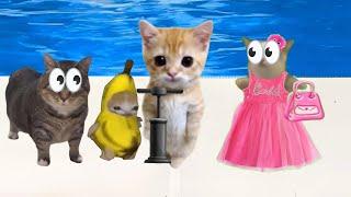 Baby Banana Cat Videos ️ 2 Minutes #80