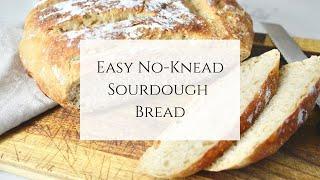 Easy No-Knead Dutch Oven Bread Recipe