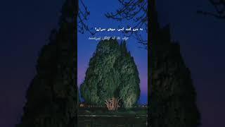 سعدی🫀#شعر#غزل#سعدی#خیام#حافظ#شهریار