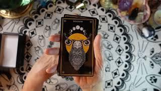 WILD MYSTIC ORACLE - Deck Review - Tap into the ancient wisdom of the animal kingdom!