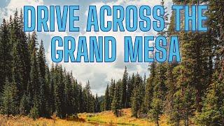 Grand Mesa Scenic Byway Roadtrip  - Things to do in Grand Junction Colorado - The Grand Mesa - #ASMR