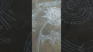 sankranti muggulu....
