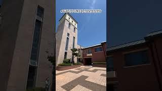 #천주교 #수도원 #가톨릭 #제주교구 #성당순례21 #동광티없이깨끗하신성모성심성당 #catholic #catholicfaith #catholicchurch #pilgrimage