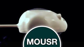 Mousr: Первая робот мышка для котов