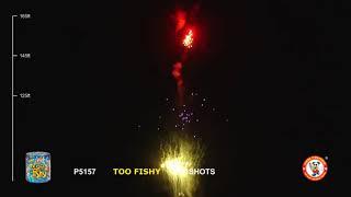 TOO FISHY - Flying fish with mine effect - 200 Gram Cake by Winda Fireworks