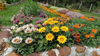 Lindeza no jardim,e rotina de trabalho na chácara!