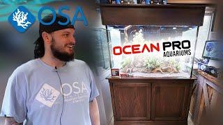 STUNNING New Aquariums From OCEAN PRO!